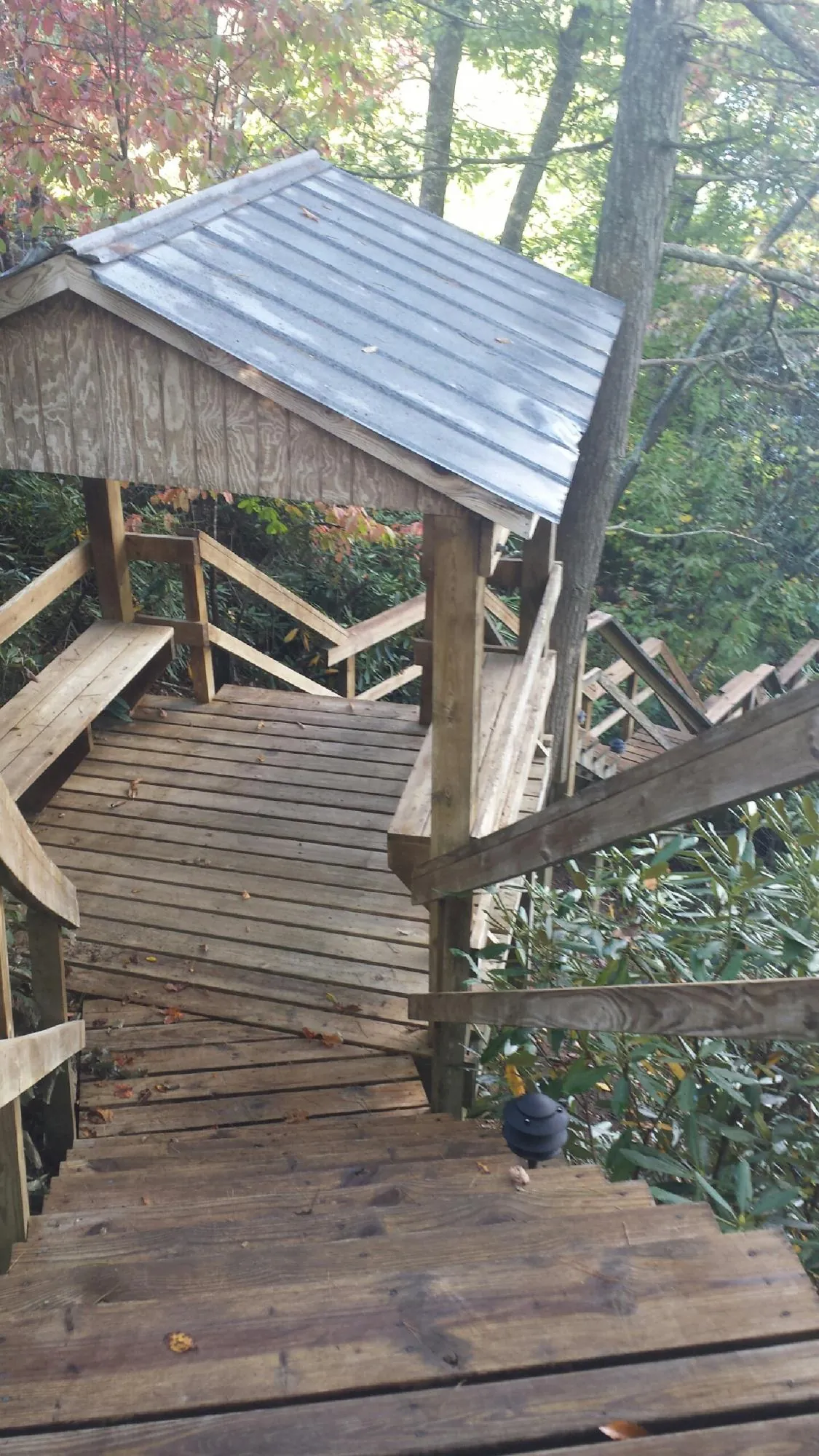 Metal roofed shelter over wooden steps on a wooded walkway — Skylight Repair & Installation work by our crew in Yankeetown