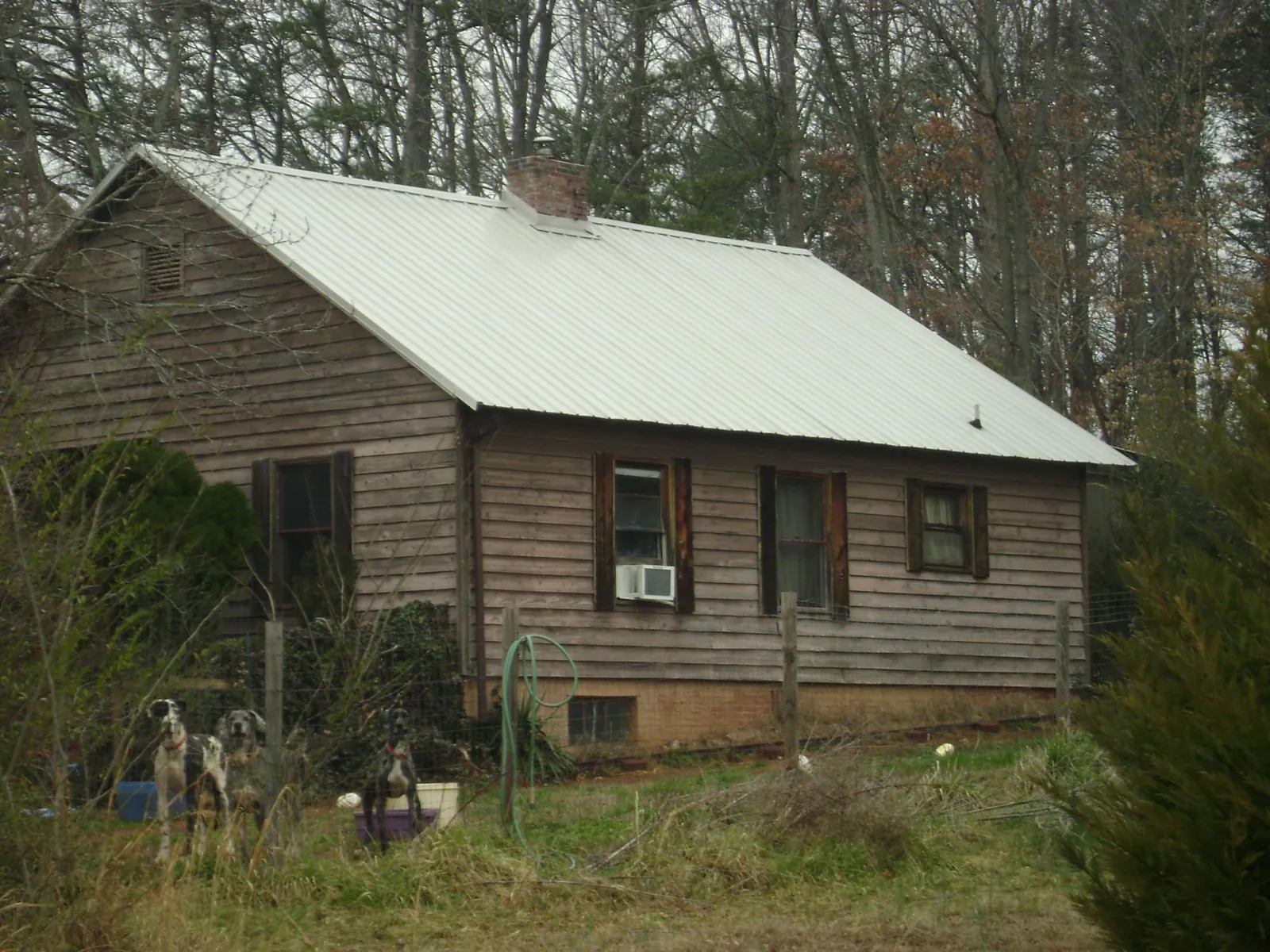 White metal roof on an old wood sided farmhouse, from a Metal Roof Installation job in Yankeetown
